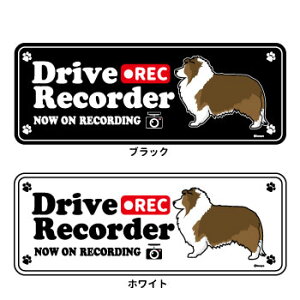 スーツケース シェル ペットの人気商品 通販 価格比較 価格 Com スーツケース シェル ペットの人気商品 通販 価格比較 価格 Com