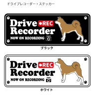 柴犬 雑貨 グッズ (英語) ドラレコ シルエット ステッカー セット 大1枚 小2枚小型犬 犬 ドライブレコー…
