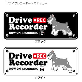 ミニチュア シュナウザー (英語) ドラレコ シルエット ステッカー セット 大1枚小2枚 小型犬 犬 ドライブレコーダー シール