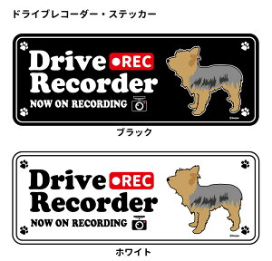 [NVeA (p) hR VGbg XebJ[ Zbg 12 G ObY ^  hCuR[_[ V[   oCN X[cP[X   B Ȃǂ 