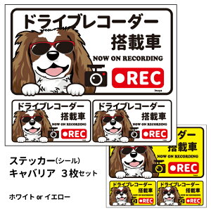 y LoA({) hR OT XebJ[ 12 G ObYZbg ` z G ObY y  V[  hbO hCuR[_[   oCN X[cP[X  