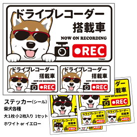 【柴犬 (日本語) ドラレコ グラサン ステッカー 大1枚小2枚セット 長方形】シール 犬 ドッグ ドライブレコーダー