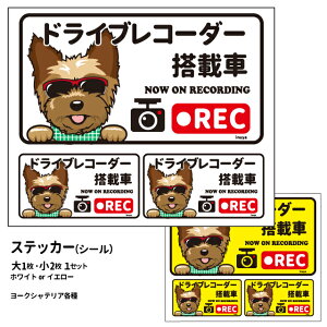 y [NVeA ({) hR OT XebJ[ 12 G ObYZbg ` z G ObYV[  hbO hCuR[_[   oCN X[cP[X  