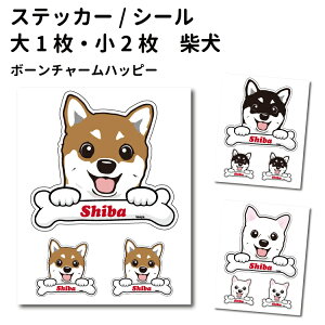 y Č {[`[ XebJ[ 12cm1 5cm2 Zbg z G ObY  ^   oCN X[cP[X   B Ȃǂ    IWi XebJ[