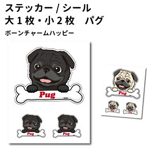 y pO {[`[ XebJ[ 12cm1 5cm2 Zbg z G ObY  ^   oCN X[cP[X   B Ȃǂ    IWi XebJ[