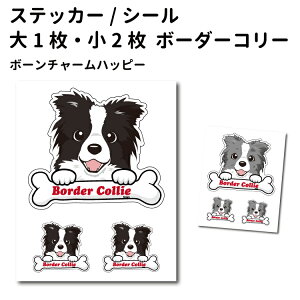 y {[_[R[ {[`[ XebJ[ 12cm1 5cm2 Zbg z G ObY  D  ^   oCN X[cP[X   B Ȃǂ    IWi Xe