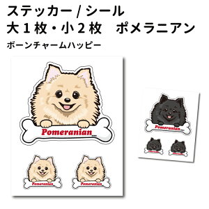 y |jA {[`[ XebJ[ 12cm1 5cm2 Zbg z G ObY  ^   oCN X[cP[X   B Ȃǂ    IWi XebJ[