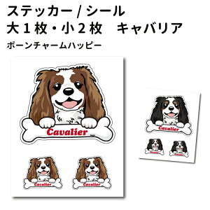 y LoA {[`[ XebJ[ 12cm1 5cm2 Zbg z G ObY   ^   oCN X[cP[X   B Ȃǂ    IWi XebJ[