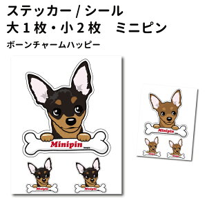 y ~j`AsV[ {[`[ XebJ[ 12cm1 5cm2 Zbg z G ObY ^   oCN X[cP[X   B Ȃǂ    IWi XebJ