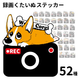 ステッカー 【 カメラ くたいぬ 】 犬 犬屋 いぬや ドライブレコーダー 可愛い かわいい 車用 ドラレコ あおり運転 防止 窓 録画 おでかけ