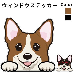 EFV R[M[ y EBhE nbs[ fUC XebJ[  10cm1 z G ObY   oCN X[cP[X   B Ȃǂ    IWi XebJ[