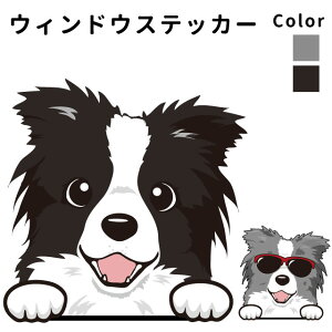 {[_[R[ y EBhE nbs[ fUC XebJ[  10cm1 z G ObY   oCN X[cP[X   B Ȃǂ    IWi XebJ[