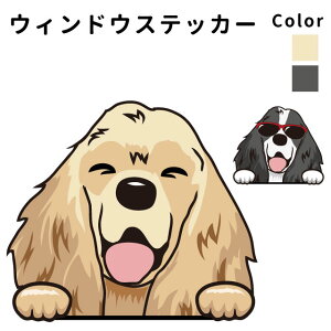 RbJ[XpjG y EBhE nbs[ fUC XebJ[  10cm1 z G ObY   oCN X[cP[X   B Ȃǂ    IWi XebJ[