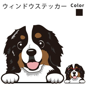 o[j[Y }EehbO y EBhE nbs[ fUC XebJ[  10cm1 z G ObY   oCN X[cP[X   B Ȃǂ    IWi X