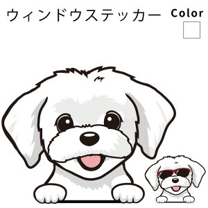 }`[Y y EBhE nbs[ fUC XebJ[  10cm1 z G ObY   oCN X[cP[X   B Ȃǂ    IWi XebJ[