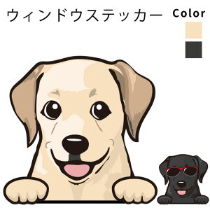 uh[ g[o[ y EBhE nbs[ fUC XebJ[  10cm1 z G ObY   oCN X[cP[X   B Ȃǂ    IWi Xe