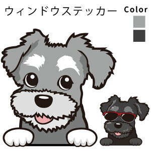 ~j`A ViEU[ y EBhE nbs[ fUC XebJ[  10cm1 z G ObY   oCN X[cP[X   B Ȃǂ    IWi Xeb