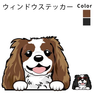 LoA y EBhE nbs[ fUC XebJ[  10cm1 z G ObY   oCN X[cP[X   B Ȃǂ    IWi XebJ[