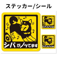 【 柴犬（黒） 犬が乗っています ステッカー 正方形 セット 大1枚小2枚 】 雑貨 グッズ 小型犬 犬 車 バ…