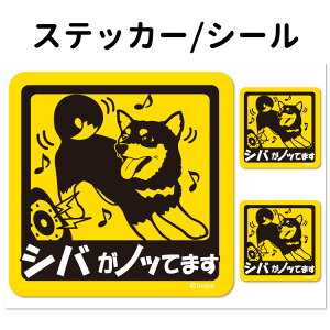 y Čij Ă܂ XebJ[ ` Zbg 12 z G ObY ^   oCN X[cP[X   B Ȃǂ    IWi XebJ[