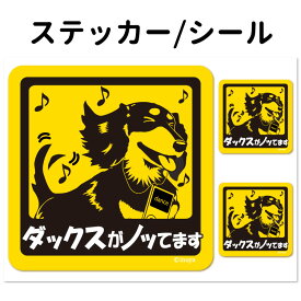【ミニチュアダックス（黒） 犬が乗っています ステッカー 正方形 セット 大1枚小2枚】 小型犬 車 犬屋 いぬや