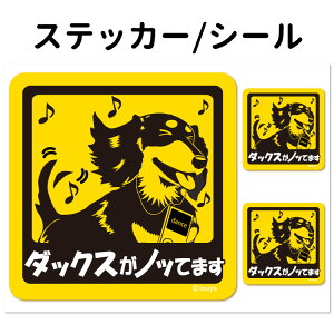 y ~j`A_bNXij Ă܂ XebJ[ ` Zbg 12 z G ObY ^   oCN X[cP[X   B Ȃǂ    IWi 