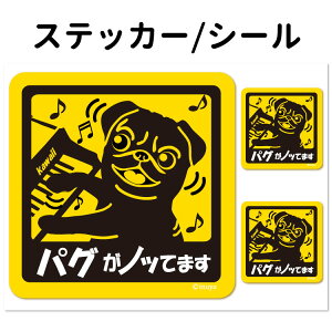 y pO Ă܂ XebJ[ ` Zbg 12 z G ObY ^   oCN X[cP[X   B Ȃǂ    IWi XebJ[