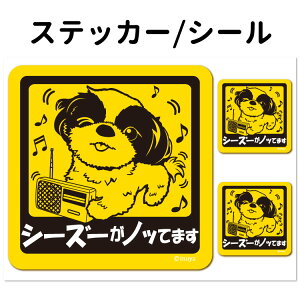 y V[Y[ Ă܂ XebJ[ ` Zbg 12 z G ObY ^   oCN X[cP[X   B Ȃǂ    IWi XebJ[