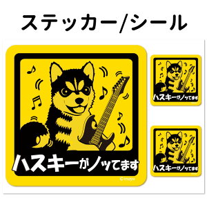 y VxAnXL[ Ă܂ XebJ[ ` Zbg 12 z G ObY ^   oCN X[cP[X   B Ȃǂ    IWi Xeb