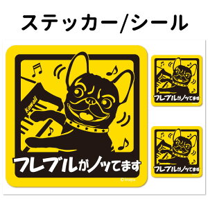 y t`uhbO Ă܂ XebJ[ ` Zbg 12 z G ObY tu ^   oCN X[cP[X   B Ȃǂ    IWi