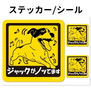 y WbNbZeA Ă܂ XebJ[ ` Zbg 12 z G ObY ^   oCN X[cP[X   B Ȃǂ    IWi X