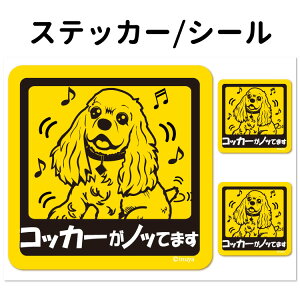 y AJRbJ[ XpjGĂ܂ XebJ[ ` Zbg 12 z G ObY ^   oCN X[cP[X   B Ȃǂ    IW