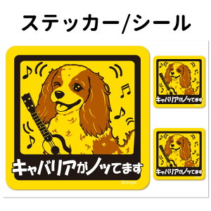 y LoA Ă܂ XebJ[ ` Zbg 12 z G ObY ^   oCN X[cP[X   B Ȃǂ    IWi XebJ[