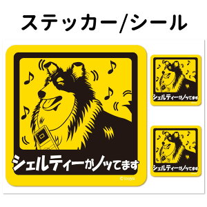 y VFeB[ Ă܂ XebJ[ ` Zbg 12 z G ObY ^ VFbghV[v   oCN X[cP[X   B Ȃǂ    I