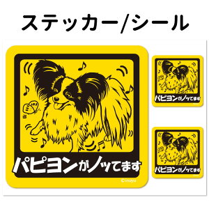 y ps Ă܂ XebJ[ ` Zbg 12 z G ObY ^   oCN X[cP[X   B Ȃǂ    IWi XebJ[