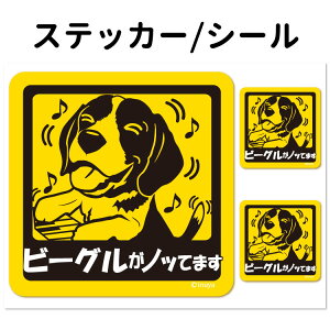 y r[O Ă܂ XebJ[ ` Zbg 12 z G ObY ^   oCN X[cP[X   B Ȃǂ    IWi XebJ[