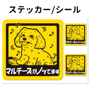 y }`[Y Ă܂ XebJ[ ` Zbg 12 z G ObY ^   oCN X[cP[X   B Ȃǂ    IWi XebJ[