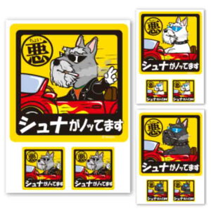 y 傢 ~j`A ViEU[ XebJ[ ` z G ObY Ă܂ hbO V[ ^ ~j`AViEU[   oCN X[cP[X   B Ȃǂ 