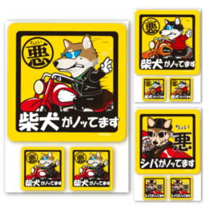 y 傢 Č XebJ[ ` i1E2Zbgj z G ObY Ă܂ hbO V[ ^   oCN X[cP[X   B Ȃǂ    I