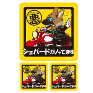 y 傢 W[} VFp[h XebJ[ ` i1E2Zbgj z G ObY Ă܂ hbO V[ ^   oCN X[cP[X   B Ȃǂ 