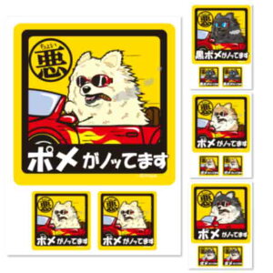 y 傢 |jA XebJ[ ` i1E2Zbgj z G ObY Ă܂ hbO V[ ^ ^   oCN X[cP[X   B Ȃǂ 