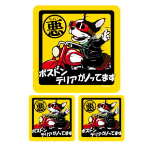 y 傢 {XgeA XebJ[ ` z G ObY Ă܂ hbO V[ ^   oCN X[cP[X   B Ȃǂ    IWi Xeb