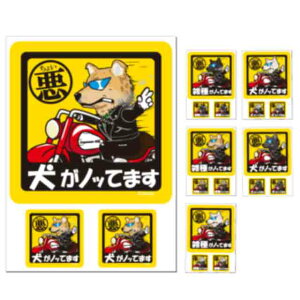 y 傢 MIX XebJ[ ` i1E2Zbgj z G ObY Ă܂ hbO V[ G ~bNX   oCN X[cP[X   B Ȃǂ   