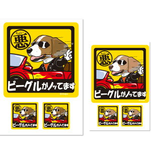 y 傢 r[O XebJ[ ` i1E2Zbgj z G ObY Ă܂ hbO V[ ^   oCN X[cP[X   B Ȃǂ    