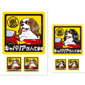 y 傢 LoA XebJ[ ` i1E2Zbgj z G ObY Ă܂ hbO V[   oCN X[cP[X   B Ȃǂ    IW