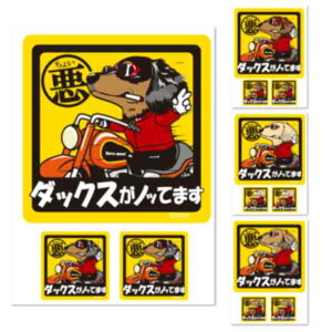 y 傢 ~j`A_bNX XebJ[ ` i1E2Zbgj z G ObY Ă܂ hbO V[ _bNX _bNXth ^ ^   oCN X[cP