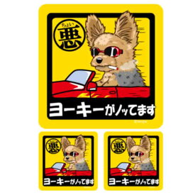 【 ちょい悪 ヨークシャーテリア ステッカー 正方形 （大1枚・小2枚セット） 】 犬が乗ってます ドッグ シール ヨーキー 超小型犬 車 犬屋 オリジナル