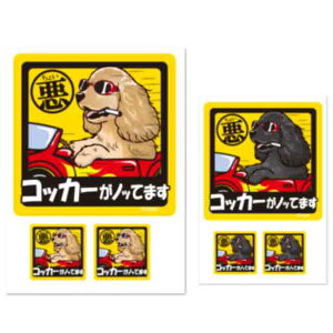 y 傢 AJRbJ[XpjG XebJ[ ` i1E2Zbgj z G ObY Ă܂ hbO V[ RbJ[ ^   oCN X[cP[X   