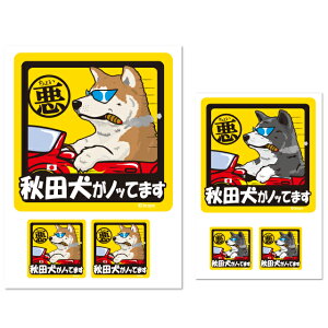 y 傢 Hc XebJ[ ` i1E2Zbgj z G ObY Ă܂ hbO V[ ^   oCN X[cP[X   B Ȃǂ    I