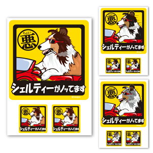 y 傢 VFeB[ XebJ[ ` i1E2Zbgj z G ObY Ă܂ hbO V[ VFbghV[vhbO ^   oCN X[cP[X  